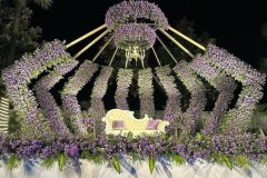 WhatsApp-Image-2025-06-19-at-9.04.50-PM